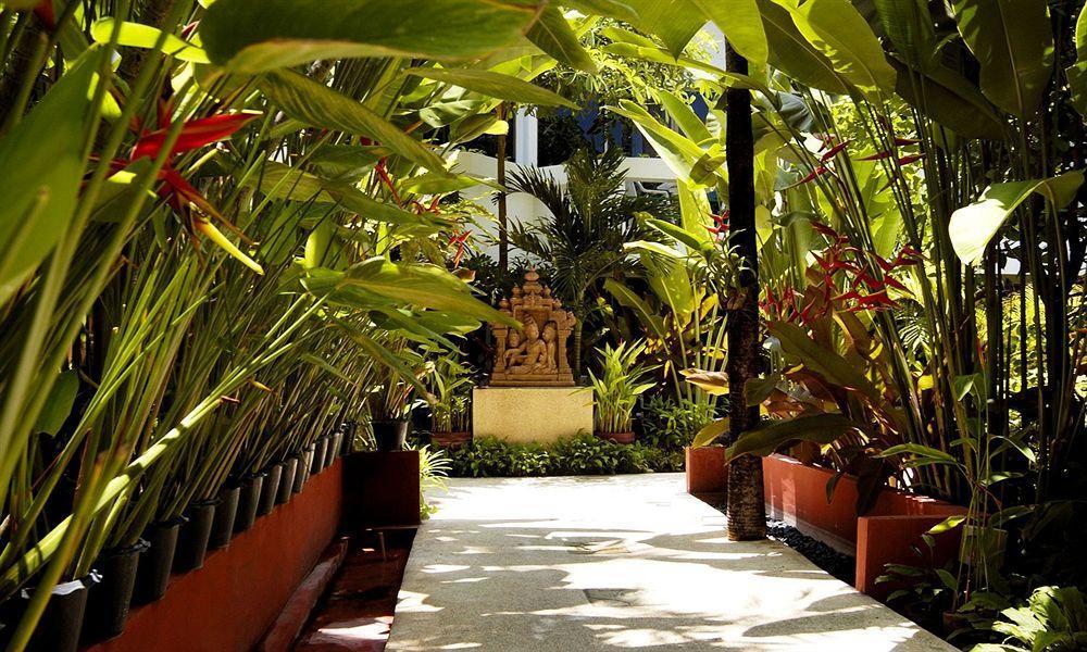 Safari Beach Hotel Patong Exteriör bild